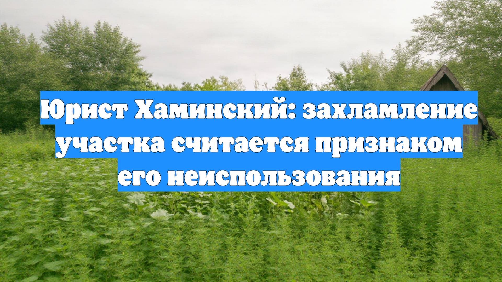 Юрист Хаминский: захламление участка считается признаком его неиспользования