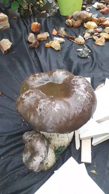 Коротко о погоде в Краснодаре)