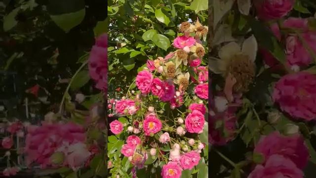 1000010758.mp4