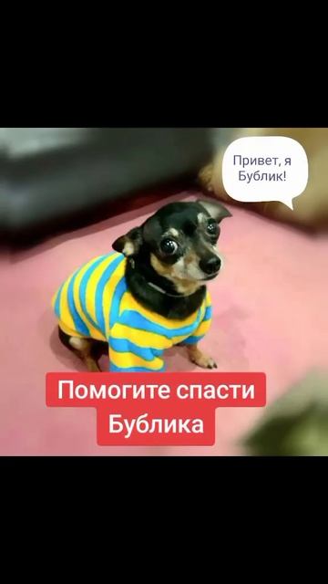 Срочно нужна ваша помощь!!!