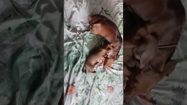 Мать и дитя