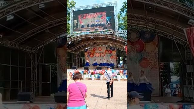 полевые цветы