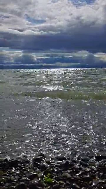 красота