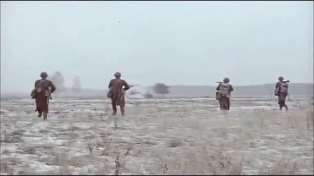 ЛЕНА ШВЕЦ - О чем ты думаешь солдат - Автор исполнитель