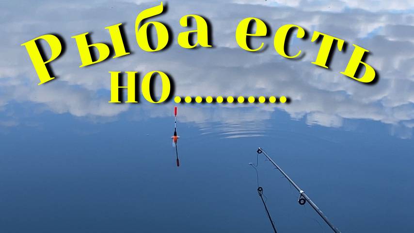 Рыбалка 2025. Рыба есть. Но есть одно НО #топыкатегорий #рыбалка #fishing #Рыбалка2025 #поплавок
