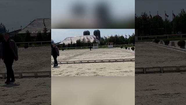 Sport 💪 horse 🏇 🫶❤️