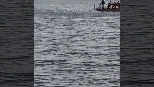 1000169058.mp4