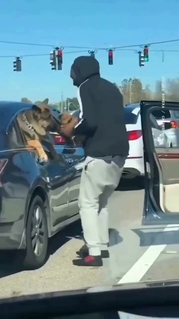 В пробке можно встретить свою судьбу 🐶😉🥰❤️