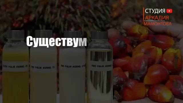 Спикер Госдумы Вячеслав Володин тайно владеет бизнесом по поставки техничекого пальмового жира в.mp4