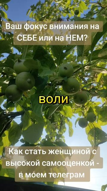 Чем отличается женщина с высокой самооценкой от женщины с низкой самооценкой?