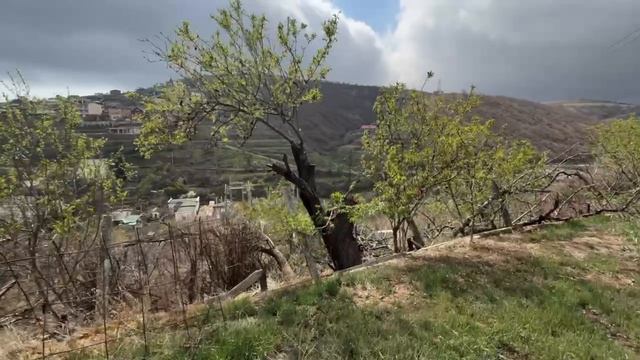 VID_20250624_231849_646.mp4
