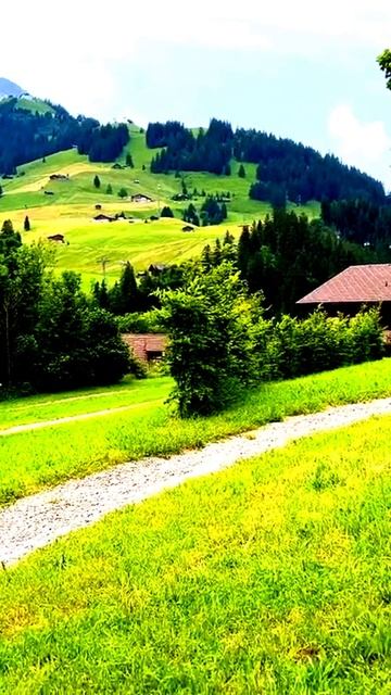 Камера захватила момент