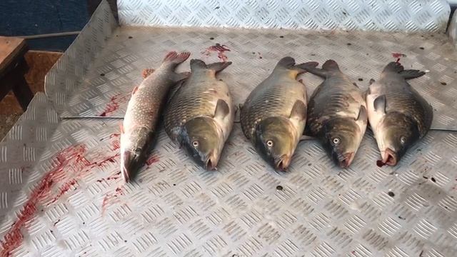 улов на большом водоёме