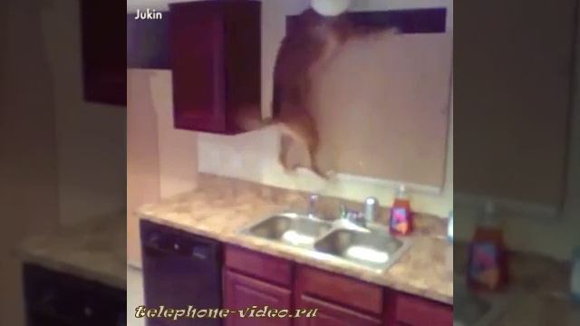 Прикол