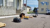 Четвероногие бойцы на страже порядка