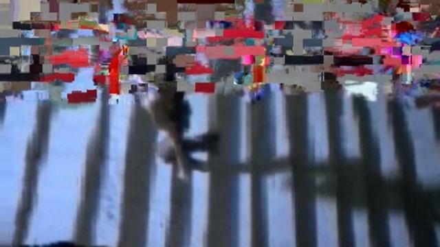 SV_A0017.avi