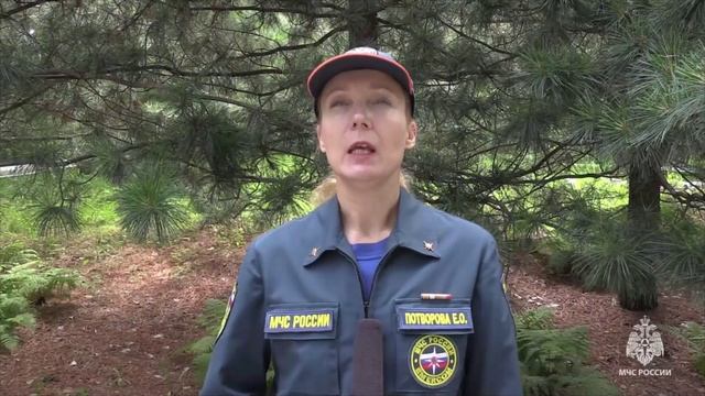 (23.2025) В Нанайском районе проводится операция по оказанию помощи травмированной туристке