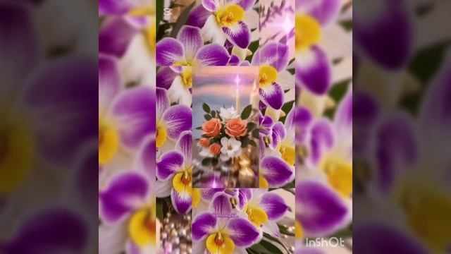 1000091672.mp4
