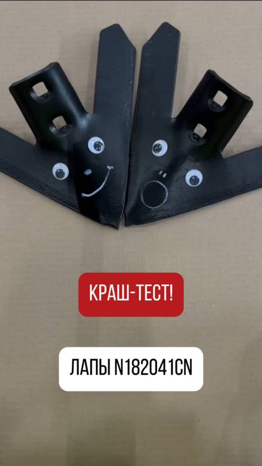 Лапы под угрозой😱
