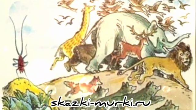 Тараканище сказки для засыпания малышей маленьких детей мурки сказки для сна