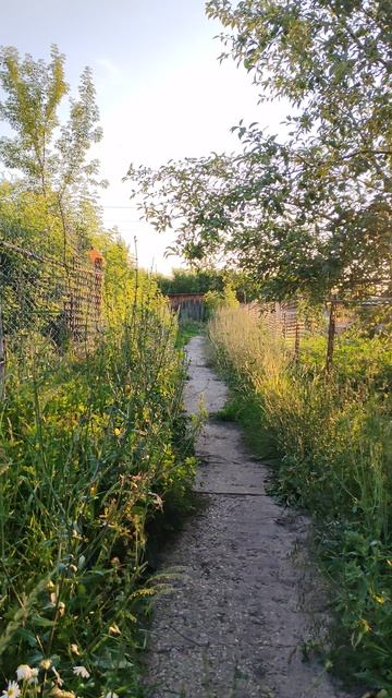 Вечер в деревне