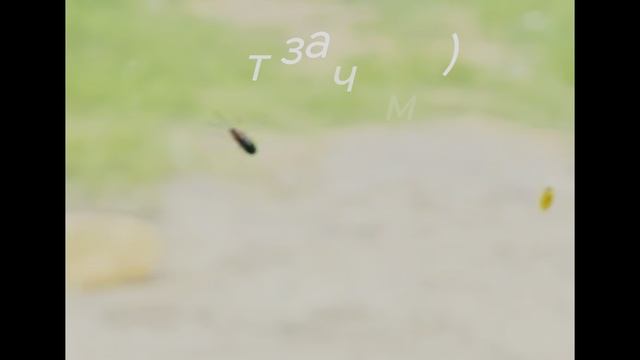 А для чего же еще?)