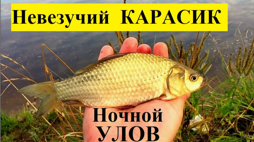 🔥Невезучий КАРАСЬ🔥чють-чють не убежал в Пруд!! Лето-2025 !!!!