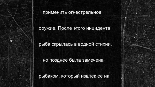 Огромный сом набросился на купавшихся в озере пятерых человек