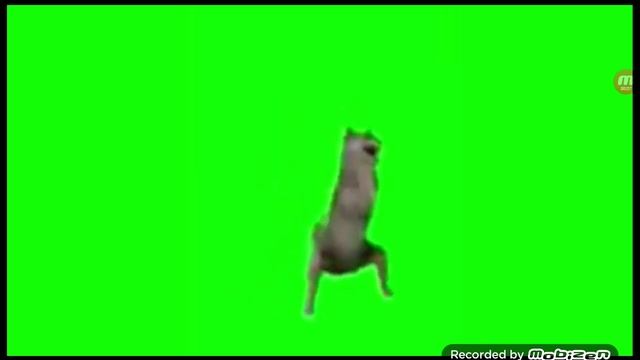 ★плейлист ихвинихт★
