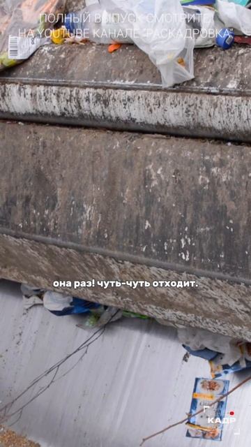 Можно ли выжить в кузове мусоровоза?

Полный выпуск смотрите на канале "Раскадровка"