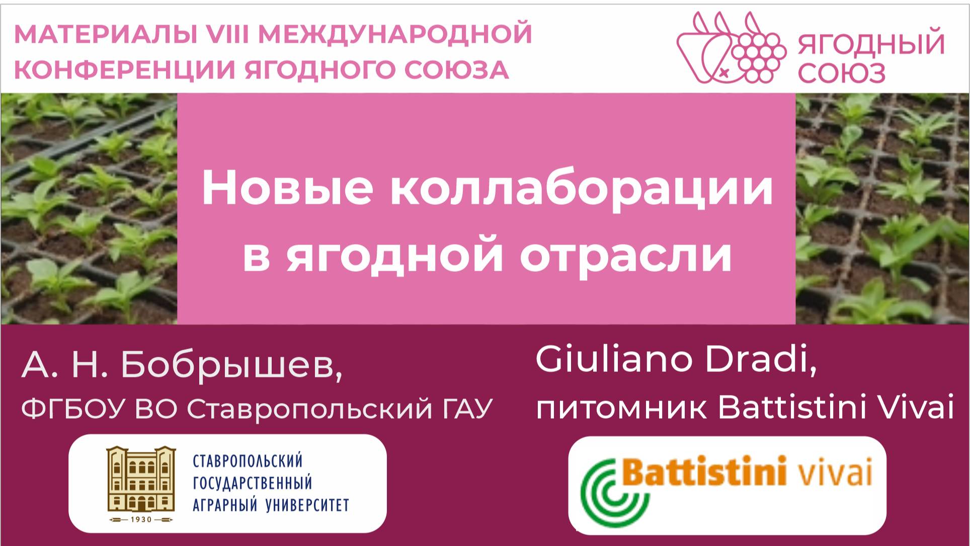 Новые коллаборации в ягодной отрасли. Ставропольский ГАУ и Battistini. Конференция Ягодного Союза