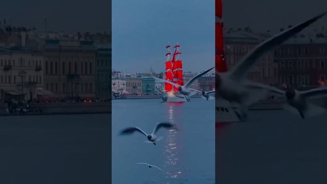Город белых ночей -Юрий Давыдов -стихи Анны Макаровой -музыка Владимира Малахова -аранж Д Уткина