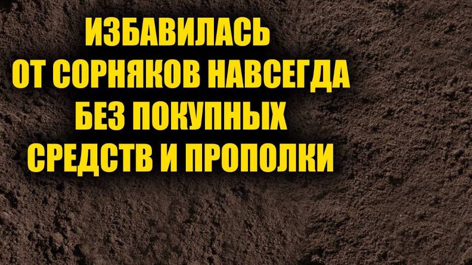 Избавилась от сорняков навсегда без покупных средств и прополки, это гениально