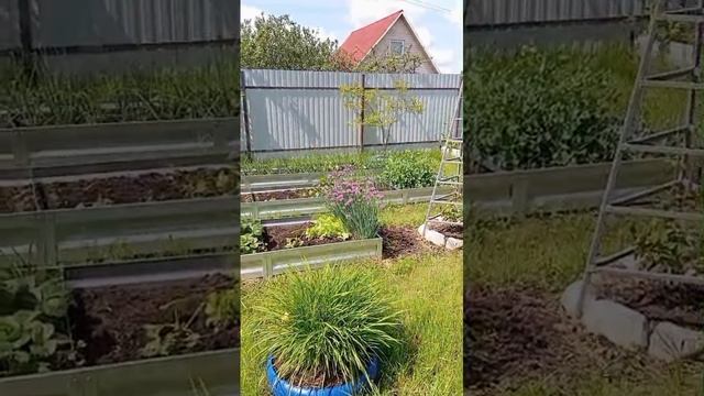 1000007812.mp4