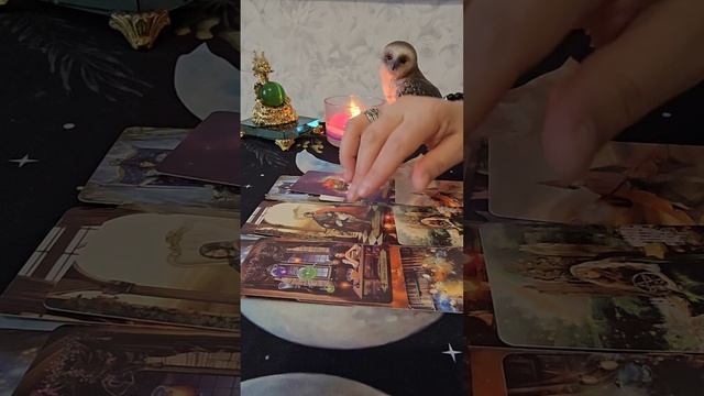 🧚♀️Что на пороге 🔮.mp4