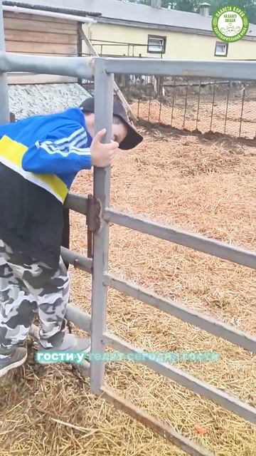 На Планете коров дети с радостью кормят телят🐄💖 
Дети учатся заботиться о маленьких друзьях