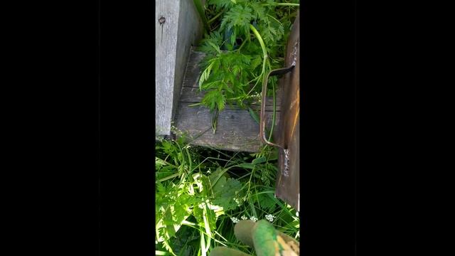 Sequence_VID_20250623_121728_VID_20250623_115913.mp4