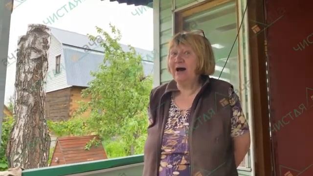 Спил двух берёз в Раменском районе