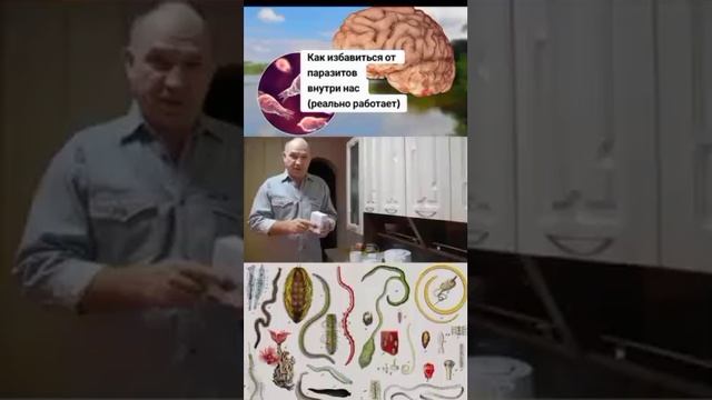 Как избавиться от паразитов