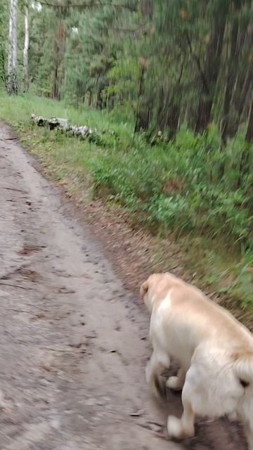 VID_20250624_121147