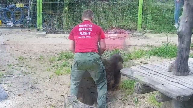Наелся помидоров и буянит