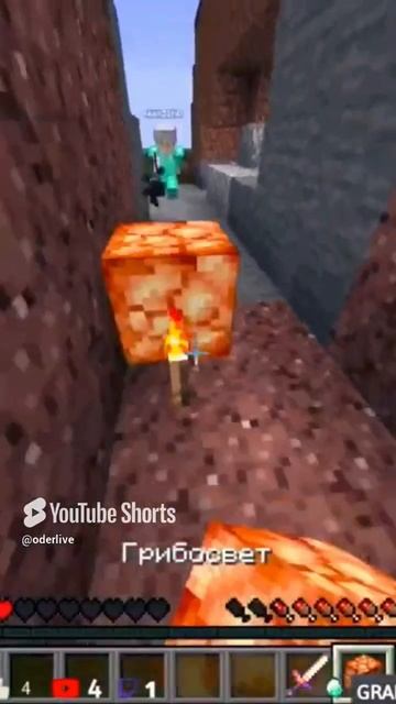 Minecraft Лучшее #1008