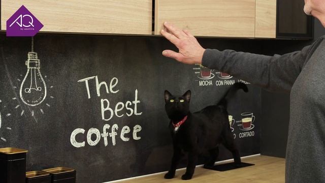 Толкатели AQ - практичное и долговечное решение для кухонь без ручек