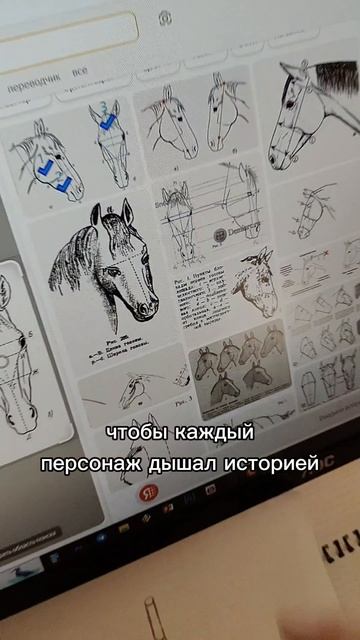 А как вы относитесь к ЛАБУБУ?