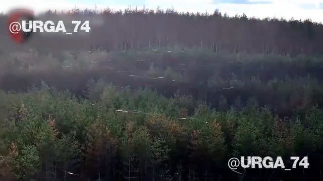 Кадры из Серебрянского лесничества, окутанного оптоволокном