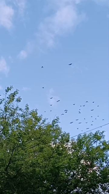 Собираем подарок лучшей подруге на день рождения 🌸