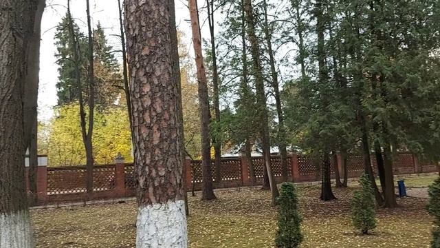 ++   В парке старинного подмосковного особняка. == (1)