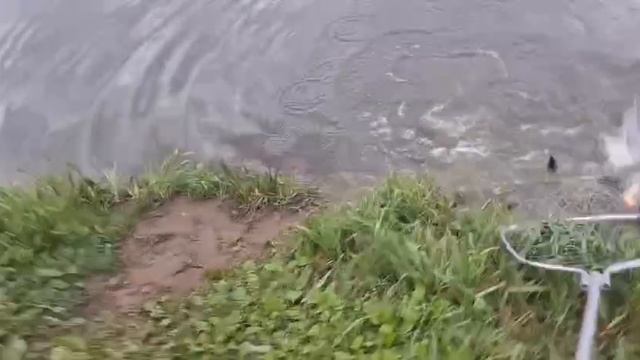 1000090921.mp4