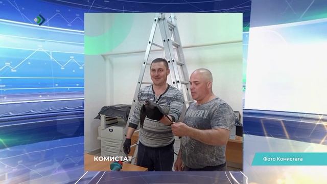 Сотрудники Комистата спасли маленького галчонка, который угодил в воздуховод