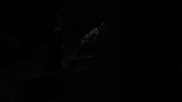 Троицкая травля в разгаре